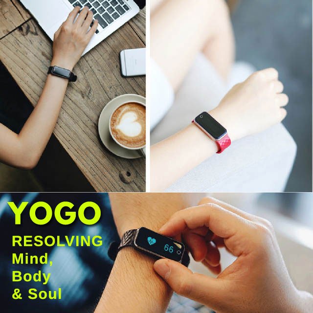 yogo